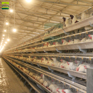 GREAT FARM Jaula para Pollos Tipo 120 de 3 Niveles y 5 Puertas para Gallinas Ponedoras o de Engorde para Granjas Avícolas - Product Image 4
