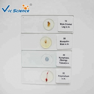 Juego de 16 Portaobjetos Preparados para <span class=keywords><strong>Microscopio</strong></span>, Biología General de Nivel Avanzado para Laboratorios de Secundaria y Universidad, CE ISO ROHS CNAS - Product Image 2