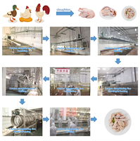 Ligne d'équipement d'abattage pour abattoir de volailles et usine de transformation de poulets, la plus vendue, à vendre