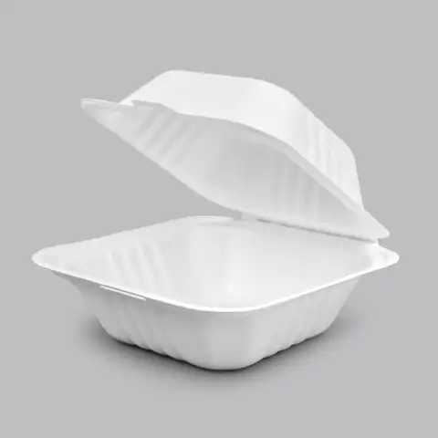 Take Out Containers Fiber Bagasse 6 HL Bagasse Blend Hinged Large Container