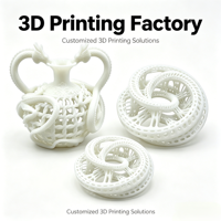 Prototipo de Estructura Compleja de Impresión 3D SLA/SLS de Alta Precisión |   Modelo Personalizado de Resina/Nylon para Desarrollo de Productos y Manualidades