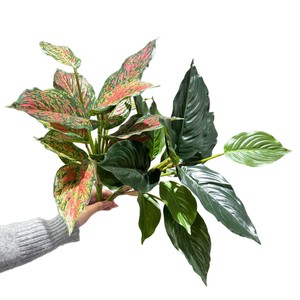 Planta Artificial Meng Jie de Hojas Perennes, 14 Hojas, Follaje de Plástico, Decoración para el Hogar, Verde, Rojo, Amarillo - Product Image 5
