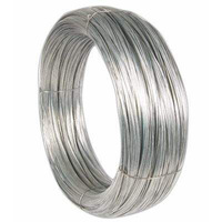 Fil de fer rond électrogalvanisé Q195 personnalisé par le fabricant WY pour emballage agricole, longueur 3m, 3,1-98,7kg, pour serre
