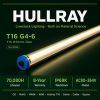 Lampu LED IP69K IK08 T16 160lm/W Efisiensi Tinggi 5000K Cahaya Siang Ra80 CRI Pencahayaan Peternakan Sapi Tahan Amonia Paduan Aluminium+PC