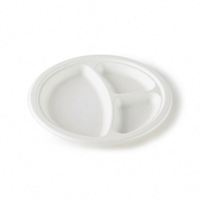 Assiette biodégradable en bagasse de canne à sucre à 3 compartiments – Contenant alimentaire pour fêtes, blanc, tailles 9''/10''/12''