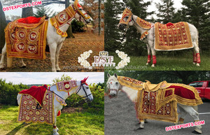 Disfraz de caballo indio para boda, traje de caballo Baraat para boda tradicional - Product Image 5