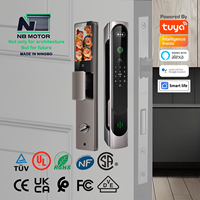 NB Motor Tuya WiFi Reconnaissance faciale Interphone actif Serrure de porte Poignée intelligente Accès sans clé Contrôle APP pour hôtels appartements