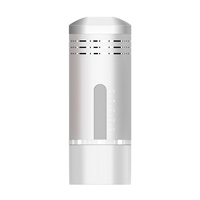 Appareil de soin de la peau portable à rouleau de gel, en plastique rouge, avec prise USB