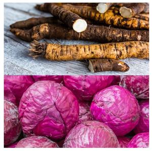 Pots de fleurs toutes saisons Lot de 8 légumes <span class=keywords><strong>d</strong></span>'<span class=keywords><strong>hiver</strong></span> pour <span class=keywords><strong>d</strong></span>élices culinaires pour l'<span class=keywords><strong>extérieur</strong></span> et la maison - Product Image 5
