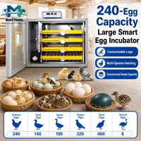 Incubateur entièrement automatique pour 240 œufs avec double alimentation et rotation à 360° en acier inoxydable 24 kg pour l'élevage de volailles OEM/ODM