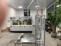 Machine de fabrication de gobelets entièrement automatique Type d'origine alimentaire Dimension Garantie ANNÉE Industries faisant la machine prix des gobelets en papier