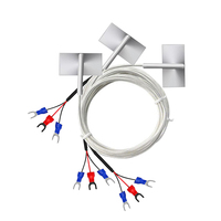 Sonde de capteur de résistance thermique en acier inoxydable 304, type puce Pt1000, capteur de température de surface avec 38*19mm, personnalisable OEM
