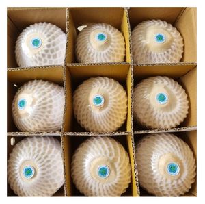 ฟิล์มหดพิมพ์ลายตามสั่ง แบบฉีกเปิดง่าย  ห่อหุ้มด้วยโฟมป้องกันสีขาวธรรมชาติ  ผลิตจากเนื้อมะพร้าวสยามคุณภาพพรีเมียม  แบบตัดเพชร  ปอกเปลือกบางส่วน - Product Image 1