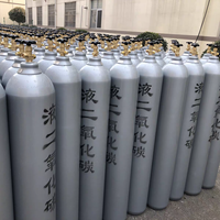 Cilindro de CO2 Plateado Personalizado de 8L con Asa, Botella Industrial sin Costuras de 15MPa