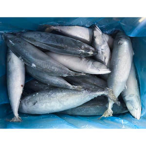 جولة كاملة أو HG طازجة ومباشرة من مصنع الصين بمصدر سائب - Product Image 6