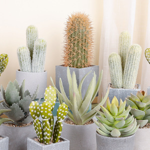 Artificial Cactus Potted Plant High Simulation Indoor Decor 24cm Succulent Bonsai Desktop Ornament - Product Image 3