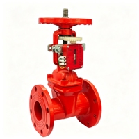 Vente directe usine – Vanne de régulation rainurée en fonte ductile, actionnée par solénoïde, 300LB, usage général, eau, DN50-DN300