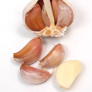 <span class=keywords><strong>Semillas</strong></span> <span class=keywords><strong>de</strong></span> Ajo <span class=keywords><strong>de</strong></span> Piel Morada Orgánicas Locales <span class=keywords><strong>de</strong></span> Shandong, 2.5 kg, Bulbos <span class=keywords><strong>de</strong></span> Ajo Frescos <span class=keywords><strong>de</strong></span> Piel Roja, Auténticos <span class=keywords><strong>de</strong></span> Granja - Product Image 5