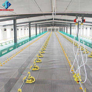 Soluciones completas a gran escala Casa de aves de corral automática para pollos 10000 Diseños de gallinero de granja de estilo Abierto Cerrado - Product Image 1