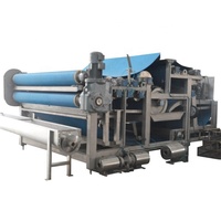 Hot Koop Apple Sap Riem Druk/Juicer Machine Met Commerciële Gebruik