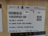 Nuevo Conjunto de Bloque de Cilindros de Repuesto BYD YangWang U8/U8L/U9/Qin PLUS/Song PLUS/Tang/Seagull/Dolphin/Yan 487ZQD-5-1002900
