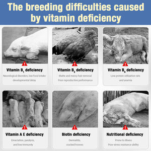 Oem עופות חומצות אמינו תוספי ויטמין נוזלי פרחת עבור עוף כדי להגדיל את הביצה הנחת האצת <span class=keywords><strong>multivitamin</strong></span> - Product Image 3