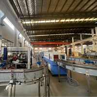 Petite machine de remplissage de liquide Machine de purification et d'embouteillage d'eau