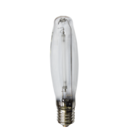 Tube de lampe routière à vapeur de sodium haute pression RADIUM RNP-T, forme tubulaire, douille E40, 250 watts, efficacité 110 lm/W, durée de vie 24000 heures, Chine