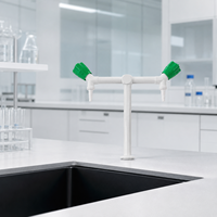 Robinet de laboratoire Rio Tinto WF-01 à double sortie, monté sur plan, moderne, durable, résistant aux acides/alcalis, en PP/ABS/Laiton, pour hôpitaux et ateliers