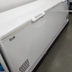 Congélateur Coffre Vertical à Ouverture par le Haut 450L, <span class=keywords><strong>Petit</strong></span> Modèle pour Cuisine Commerciale Rebirth - Product Image 2