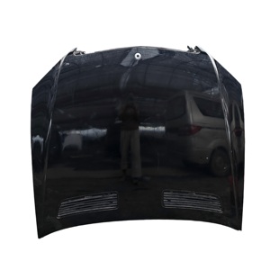 Capot Bibo d'origine pour Mercedes Classe S W221 (2007-2013) – Vente directe usine – Haute qualité – Référence 2218800157 - Product Image 1