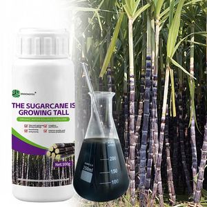 जैविक गन्ना उर्वरक उत्पादन में वृद्धि की गुणवत्ता उच्च स्वीटिंग जॉयनिंग - Product Image 1