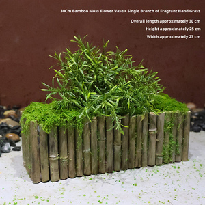 LO-877 Vente <span class=keywords><strong>en</strong></span> gros d'ornements artificiels <span class=keywords><strong>en</strong></span> écorce de mousse, décorations artisanales de forêt tropicale <span class=keywords><strong>pour</strong></span> la mise <span class=keywords><strong>en</strong></span> scène florale et la décoration d'événements - Product Image 6