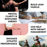LIFEWORTH Support d'entraînement Protine Shake Chocolat Saveur Mass Weight Gainer Protein Powder