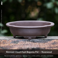 Pot Bunga Resin Desain Minimalis Rustic Sederhana Bentuk Teratai Tiga Kaki Wadah Dangkal Pengontrol Akar Pot Meja Besar