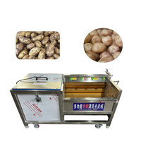 En stock électrique acier inoxydable tapioca manioc mandioca avocat manioc éplucheur râpe trancheuse déchiquetage grille Machine