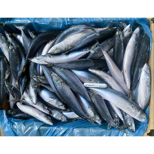 الأسماك في الشرق الأوسط-شعبية في سوق الشرق الأوسط-توريد بالجملة بسعر تنافسي - Product Image 4