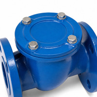 Clapet anti-retour à bride en fonte ductile PN16, type oscillant, pour pompe à eau et ligne de protection incendie