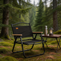 Chaise de camping pliable moderne et légère avec structure robuste pour le camping en plein air, les pique-niques, la plage et les parcs