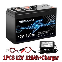 Baterai Isi Ulang LiFePO4 12V 30Ah-200Ah Pengganti Baterai Asam Timbal Dengan Pengisi Daya untuk Penyimpanan Daya Tenaga Surya RV Kelautan OffGrid