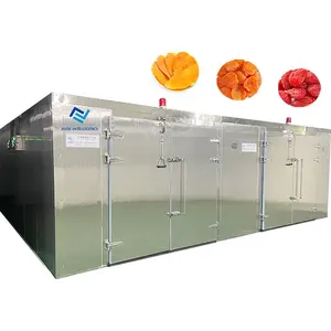 Profesyonel 500-2000kg mango işleme kurutma makinesi çilek kurutulmuş kayısı kurutulmuş meyve gıda kurutma