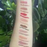Kit de maquillage pour les lèvres imperméable longue durée sans logo de marque privée à bas quantité minimale de commande en gros