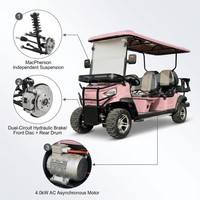 Voiturette de golf rose personnalisée pour 6 passagers, avec freinage hydraulique double, idéale pour le transport en zone touristique