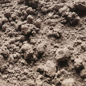 Cenizas volantes tipo F de alto rendimiento, autocementantes | Suministro de confianza de Vietnam | Transporte marítimo a granel - Product Image 1