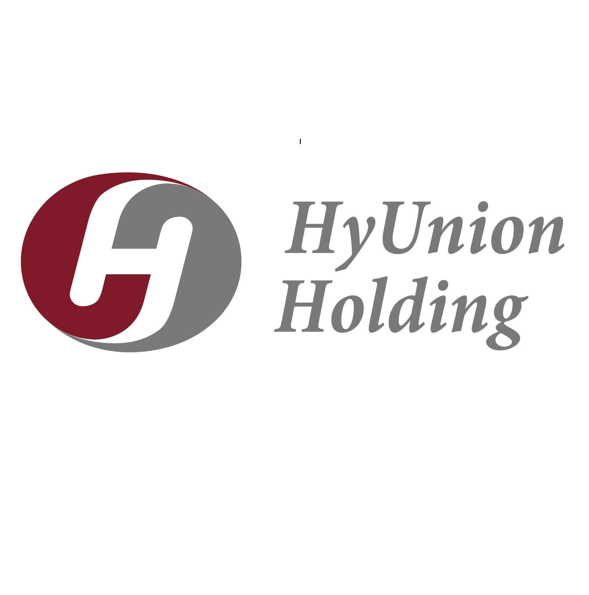 Hyunion Holding Co., Ltd. logo