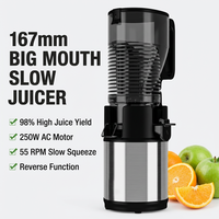 OEM 167MM invoeropening lengte 250W AC motor fruitpers extractor machine roestvrij staal slow masticating koudpers sapcentrifuge