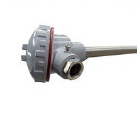 Sonde thermocouple haute température anti-abrasion PROG-ST902-1, précision 0~1200, montage à vis II pour applications en aciéries