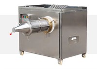 Séparateur de poisson en acier inoxydable, filtre à viande automatique pour os fins