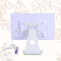 Analyseur de peau du visage AI Equipement de beauté Garantie 1 an Pro Factory OEM Personnalisation pour les salons de beauté professionnels Soins de la peau