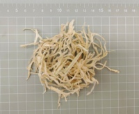 Légumes déshydratés, aliments déshydratés, tranches de radis Daikon séchées
